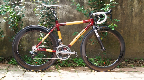 Bamboo Bike 1